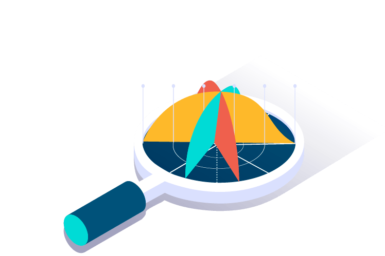 Website audit