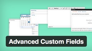 Advanced-custom-fields