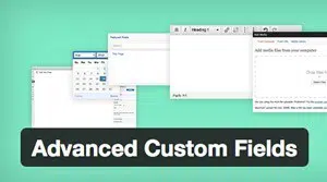 Advanced-custom-fields