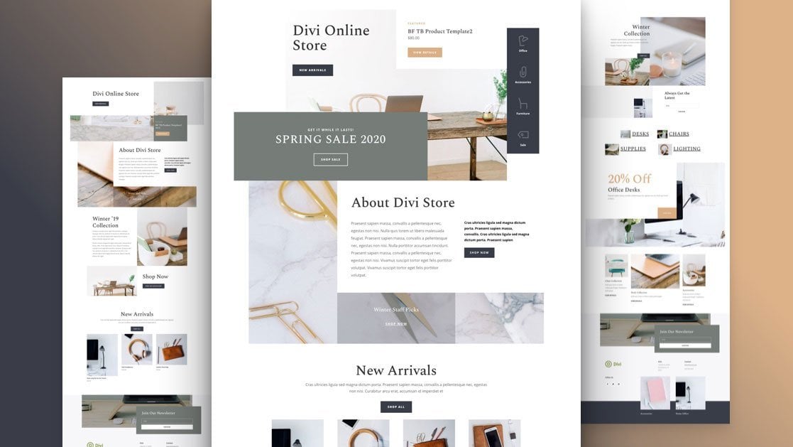 WordPress webshop theme: Divi