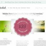 Goedkope WordPress themes