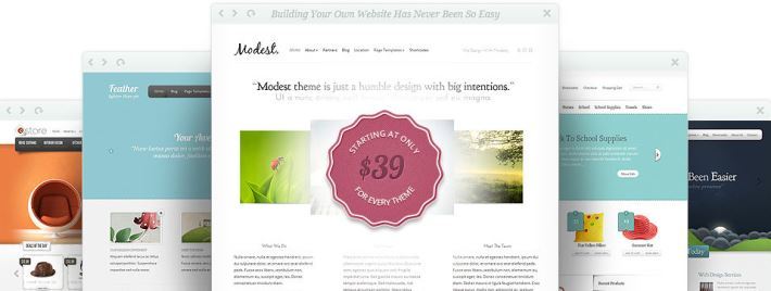 Goedkope WordPress themes