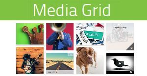 media grid wordpress plugin