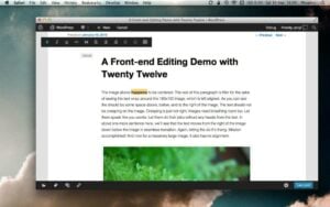 wp-front-end-editor