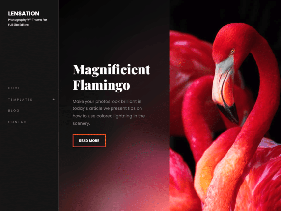 WordPress thema 